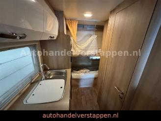 Roller Team   picture 31