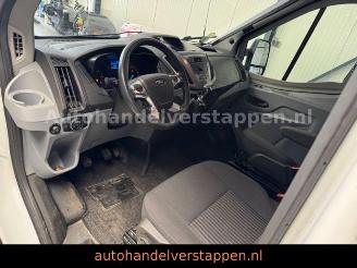 Roller Team   picture 34