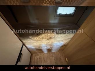 Roller Team   picture 29