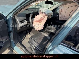 BMW iX1 20 eDrive 67KWH -150KW- Premium-Paket picture 19