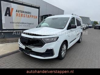 Auto incidentate Ford   2025/4