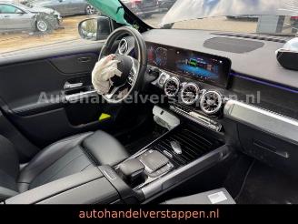 Mercedes EQB 300+ 4Matic 168KW Progressive Panorama FULL picture 18