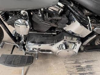 Harley-Davidson Fat Boy FLSTF picture 10