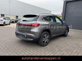 Mercedes EQA 250+ 71KWH LUXURY LINE Pano Burm Facelift picture 2