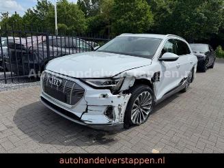 Audi E-tron 55 Quattro Advanced 93KWH picture 4