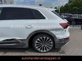 Audi E-tron 55 Quattro Advanced 93KWH picture 10