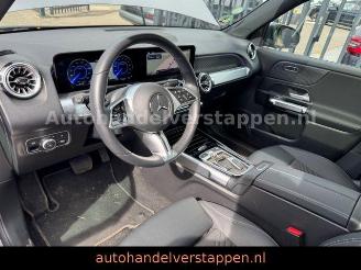 Mercedes EQB 250+ 71KWH Progressive Panorama picture 27