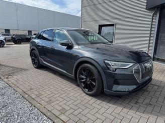 Audi E-tron 55 Quattro 300KW 93KWH Panorama picture 6