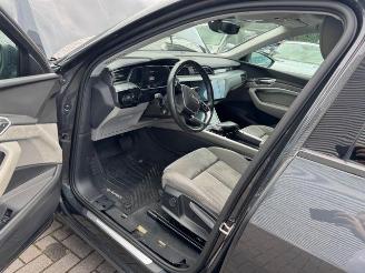 Audi E-tron 55 Quattro 300KW 93KWH Panorama picture 21