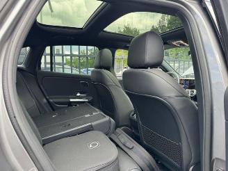 Mercedes EQA 250+ AMG Sport Pano AHK Burm Memory VOLLL picture 8