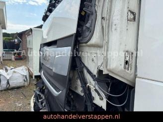 DAF XF 480 SSC ACC 4×2 2TANKS 355KW EURO6 picture 29