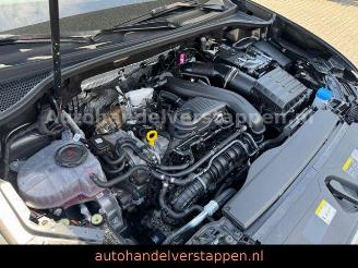 Audi Q3 35 TFSI S-Tronic S line Panorama picture 19