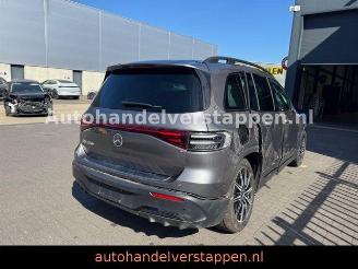 Mercedes EQB 250+ AMG Sport Pano Burm 71KWH VOLL picture 6