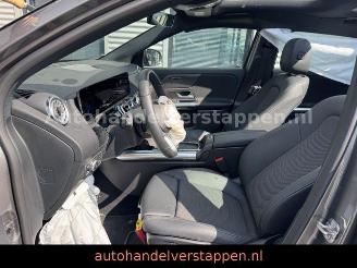 Mercedes EQA 250+ Progressive Pano Leder Navi+ 71KWH picture 9