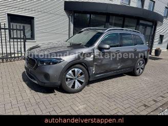 Mercedes EQB 250+ Progressive 7-Personen Leder LED NAVI picture 13