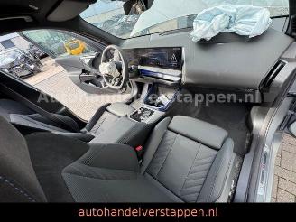 BMW X3 20d xDrive M Sport FROZEN PURE picture 20