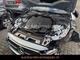 Mercedes E-klasse 200d AMG Lin Pano Burm Night-Pakt picture 16