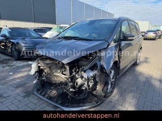 Ford Galaxy Hybrid Titanium 140KW 7-Sitzer picture 5