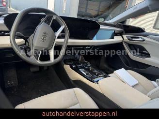 Audi A6 e-tron Sportback performance 270 kW picture 19