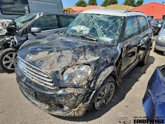 Mini Countryman Countryman (R60), SUV, 2010 / 2016 1.6 16V Cooper picture 1