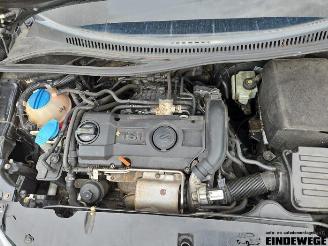 Seat Altea Altea XL (5P5), MPV, 2006 / 2015 1.4 TSI 16V picture 5