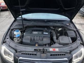 Audi A3 A3 (8P1), Hatchback 3-drs, 2003 / 2012 1.6 picture 10
