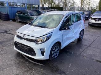 Sloopauto Kia Picanto Picanto (JA), Hatchback, 2017 1.0 12V 2017/8
