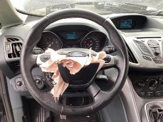 Ford C-Max C-Max (DXA), MPV, 2010 / 2019 1.0 Ti-VCT EcoBoost 12V 100 picture 25