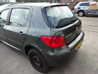 Peugeot 307  picture 5