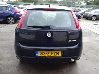 Fiat Punto  picture 4