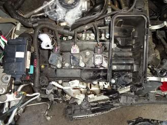 Toyota Yaris  picture 8