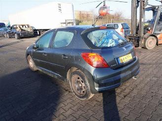 Peugeot 207 1.6 16v picture 2