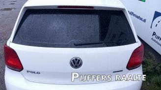 Volkswagen Polo Polo V (6R), Hatchback, 2009 / 2017 1.2 TDI 12V BlueMotion picture 14