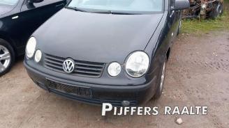Volkswagen Polo Polo IV (9N1/2/3), Hatchback, 2001 / 2012 1.4 16V picture 2