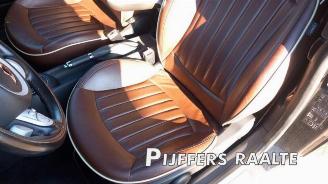 Mini Mini Mini Open (R57), Cabrio, 2007 / 2015 1.6 16V Cooper S picture 18