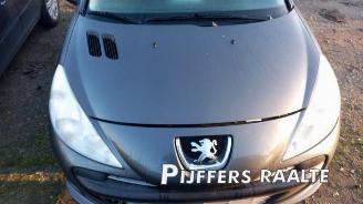 Peugeot 206 206+ (2L/M), Hatchback, 2009 / 2013 1.4 XS picture 19