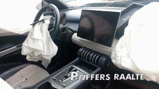 BYD Atto 3 Atto 3/Atto 3 Evo, SUV, 2022 FWD 60 kWh picture 30
