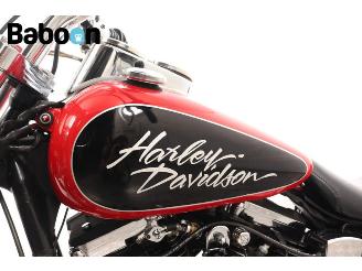 Harley-Davidson  FXDL Dyna picture 19