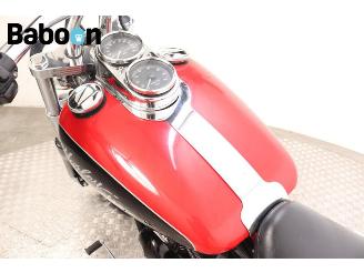 Harley-Davidson  FXDL Dyna picture 22