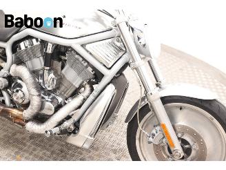 Harley-Davidson  VRSCA V-Rod picture 12