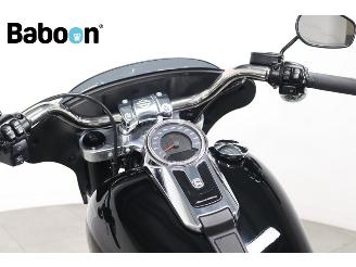 Harley-Davidson  FLSB Sport Glide picture 15