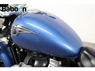 Royal Enfield  Super Meteor 650 picture 9