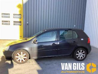 Volkswagen Golf  picture 8