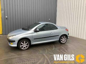Peugeot 206  picture 3