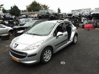 Peugeot 207 1.4 hdi picture 1