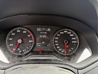 Seat Ibiza 1.0 TSI Style Business Intense picture 20