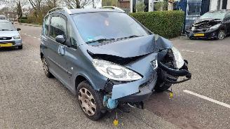 Purkuautot passenger cars Peugeot 1007 1.6-16v gENTRY 2009/5