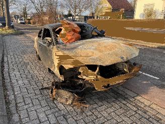 damaged passenger cars BMW 1-serie 120i 16V Coupe 2 drs 2013/1