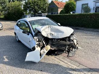 disassembly passenger cars Seat Ibiza 1.2-12V 2012/6