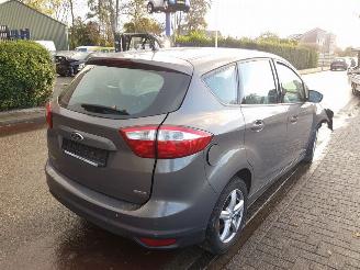 Ford C-Max DXA picture 4